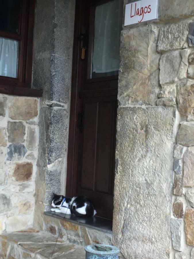 La Xamoca Apartamentos Rurales Campiellos Екстер'єр фото
